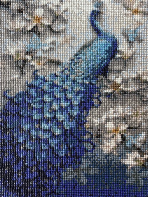 Diamond Art: Peacock Picture 